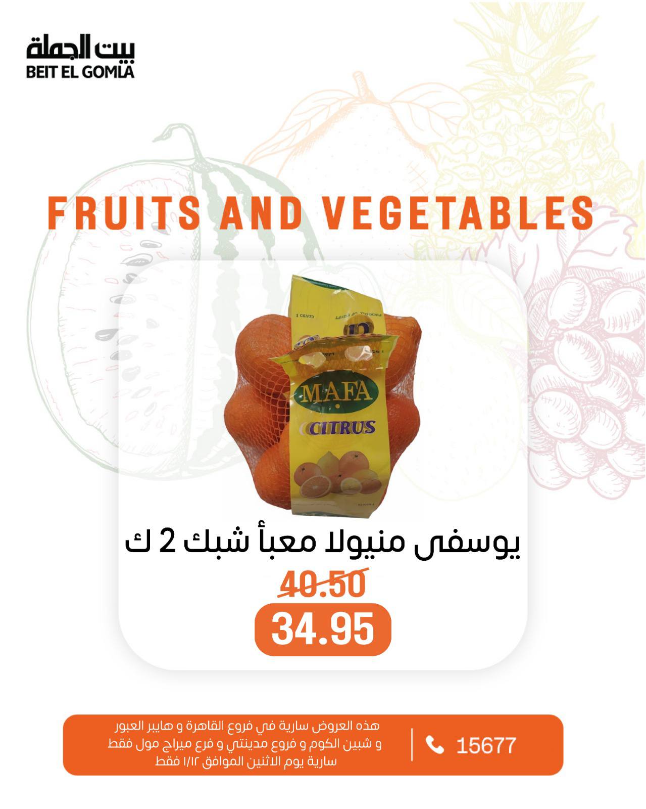عروض بيت الجملة مصر الاثنين 12 يناير 2026 عروض الخضار والفاكهة