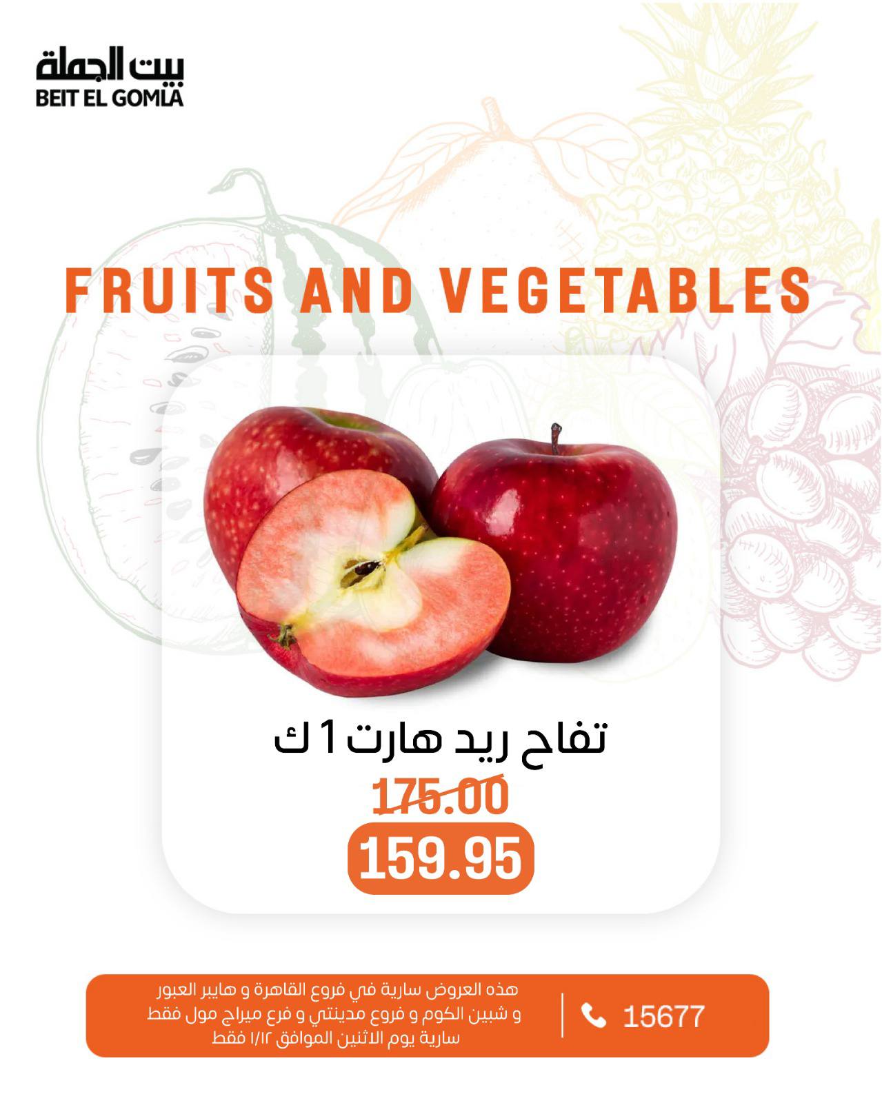 عروض بيت الجملة مصر الاثنين 12 يناير 2026 عروض الخضار والفاكهة