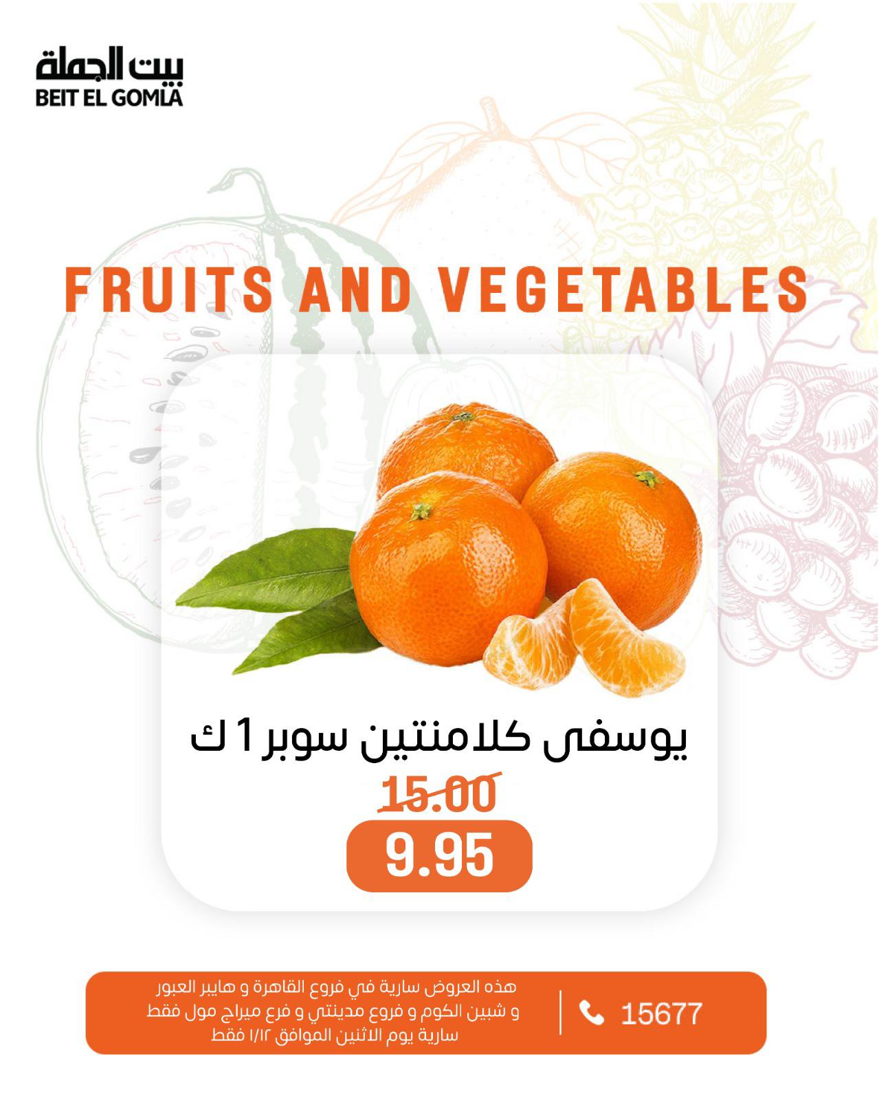 عروض بيت الجملة مصر الاثنين 12 يناير 2026 عروض الخضار والفاكهة