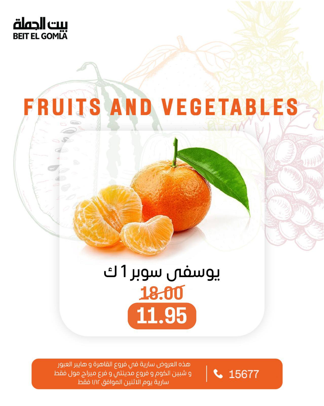 عروض بيت الجملة مصر الاثنين 12 يناير 2026 عروض الخضار والفاكهة
