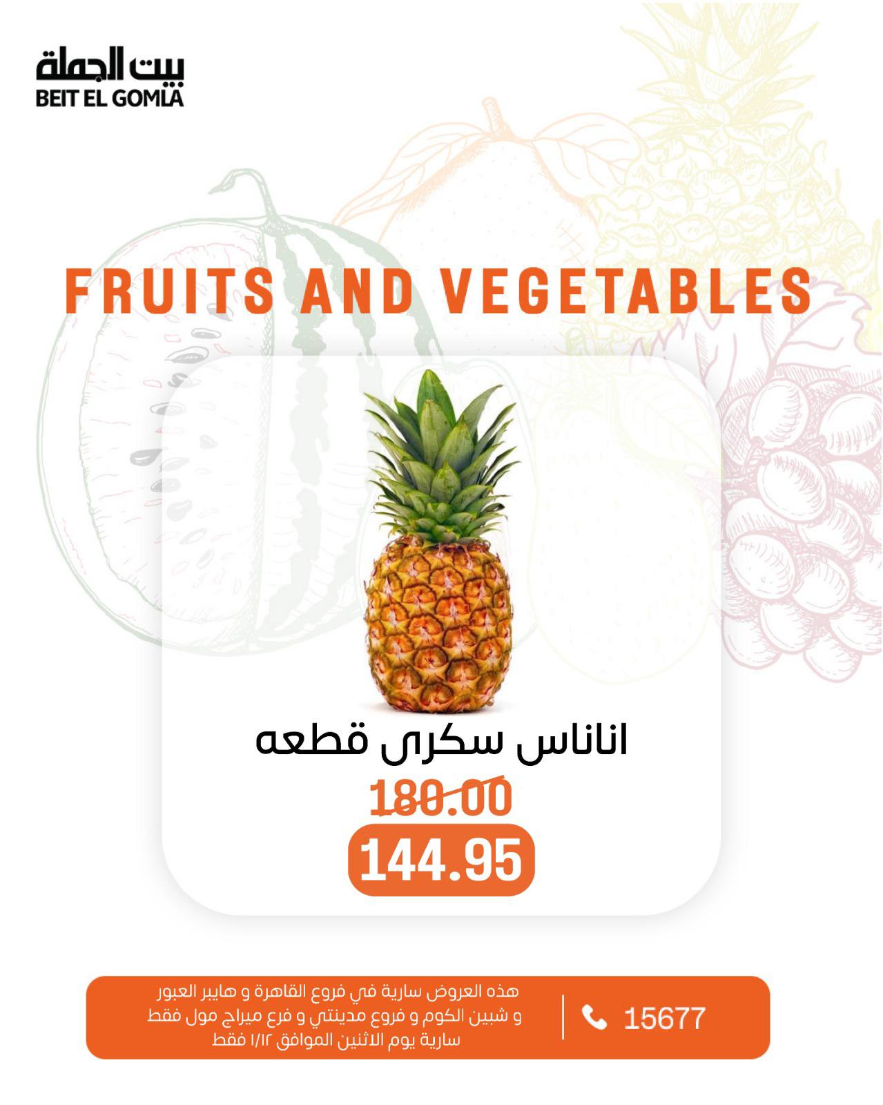 عروض بيت الجملة مصر الاثنين 12 يناير 2026 عروض الخضار والفاكهة