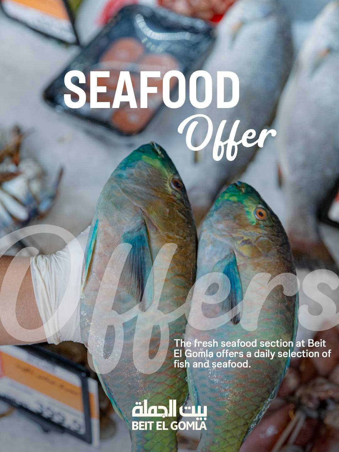 Gomla House Egypt Offers Tuesday 13 January Seafood Deals - Page 1