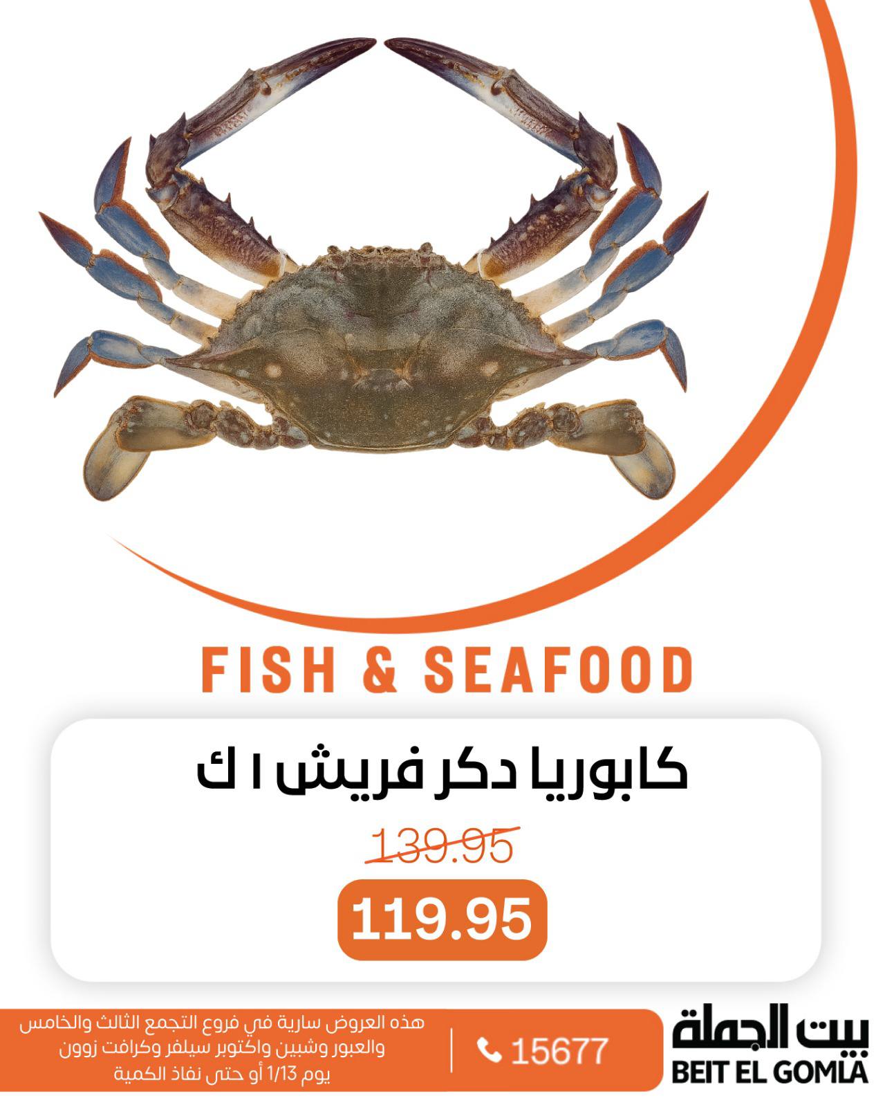 عروض بيت الجملة مصر الثلاثاء 13 يناير 2026 عروض الأسماك