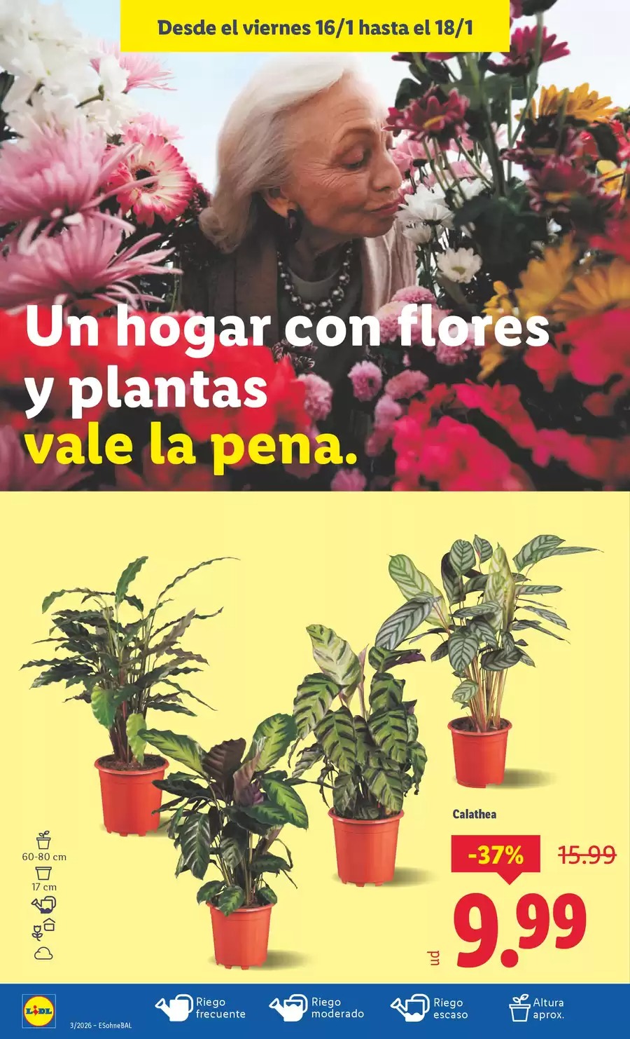 Ofertas de Lidl España de 12 a 18 enero 2026 Ofertas XXL