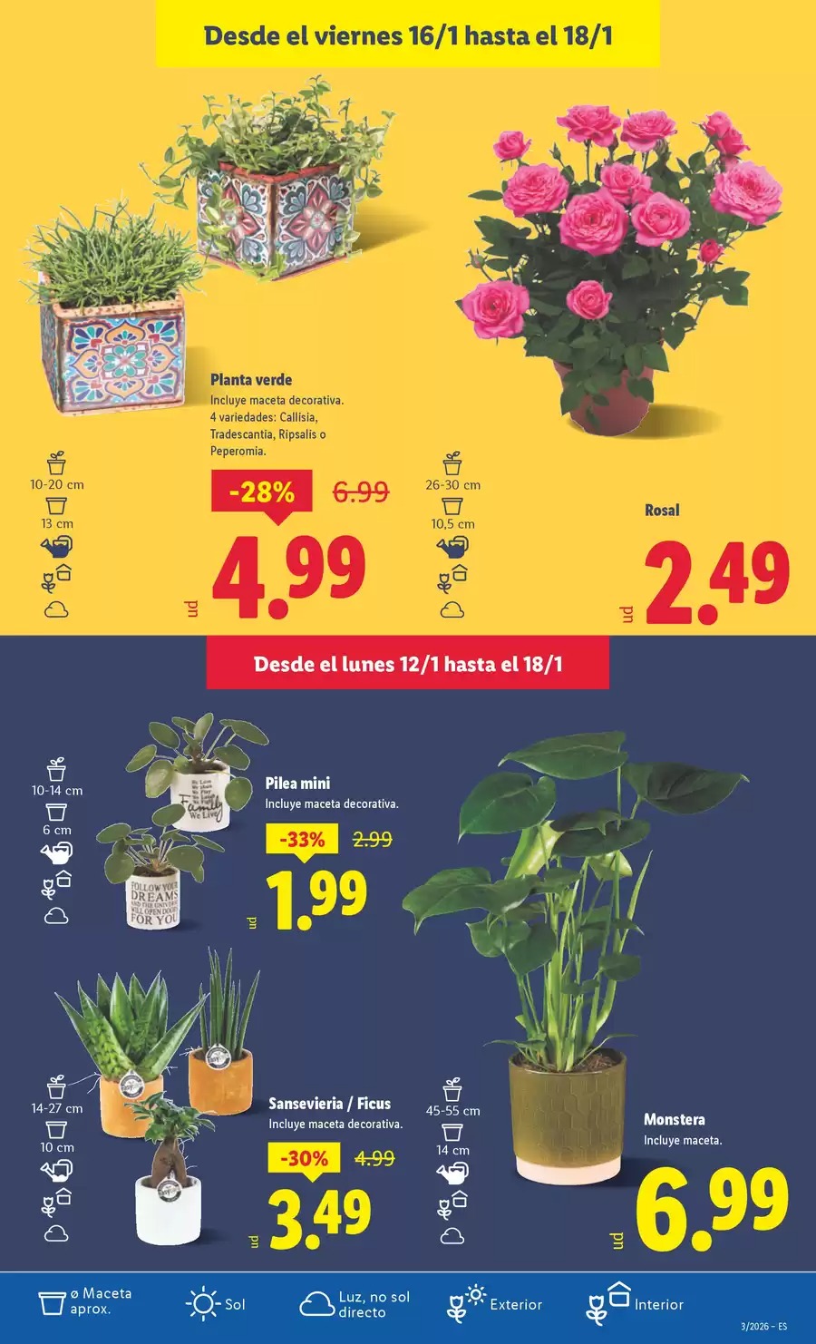 Ofertas de Lidl España de 12 a 18 enero 2026 Ofertas XXL