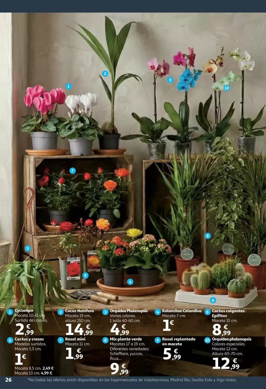 Ofertas de Alcampo España de 9 a 25 enero 2026 La Llar Dels Teus Somnis