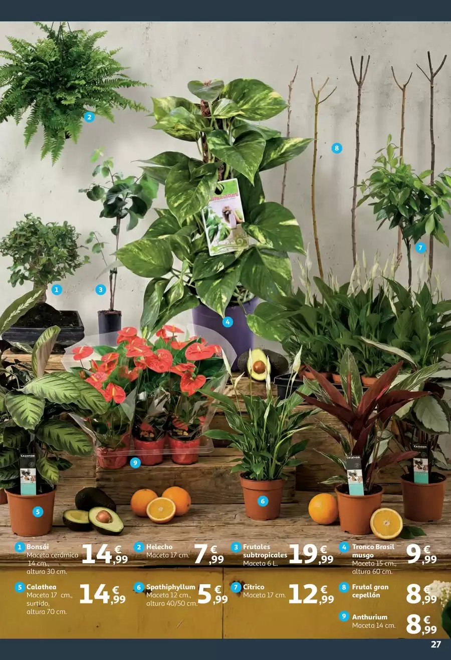 Ofertas de Alcampo España de 9 a 25 enero 2026 La Llar Dels Teus Somnis