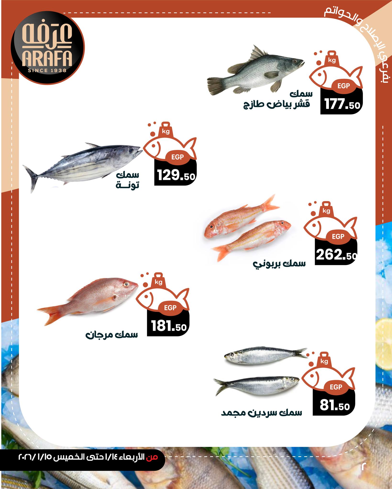 Ofertas de Mercado de Arafa Egipto de 14 a 15 enero 2026 Ofertas de pescado
