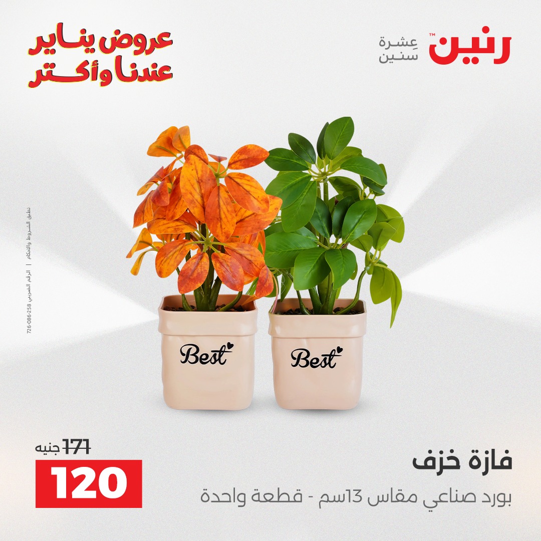 عروض رنين مصر من 15 حتى 17 يناير 2026 عروض قطع الديكور