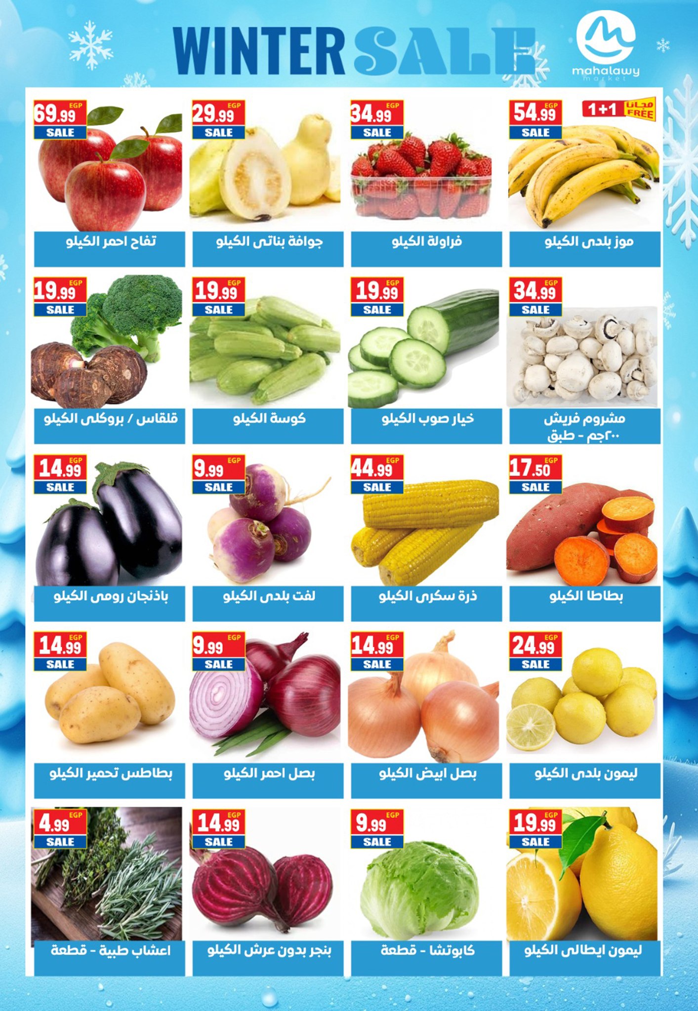 El mhallawy Sons Egypt Offers from 16 to 25 January 2026 Savings Offers