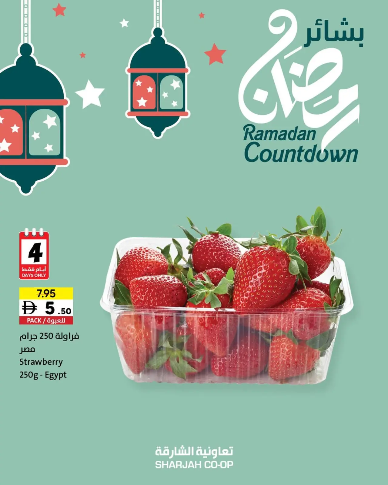 صفحة 10 ضمن عروض بشاير رمضان في تعاونية الشارقة الإمارات