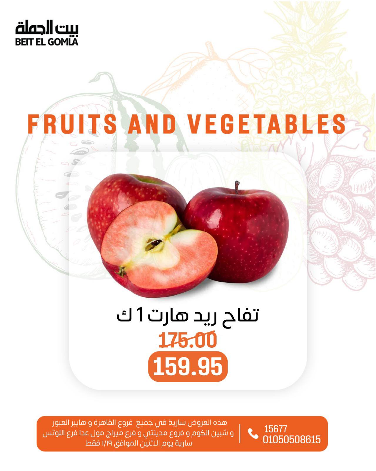 عروض بيت الجملة مصر الاثنين 19 يناير 2026 عروض الخضار والفاكهة