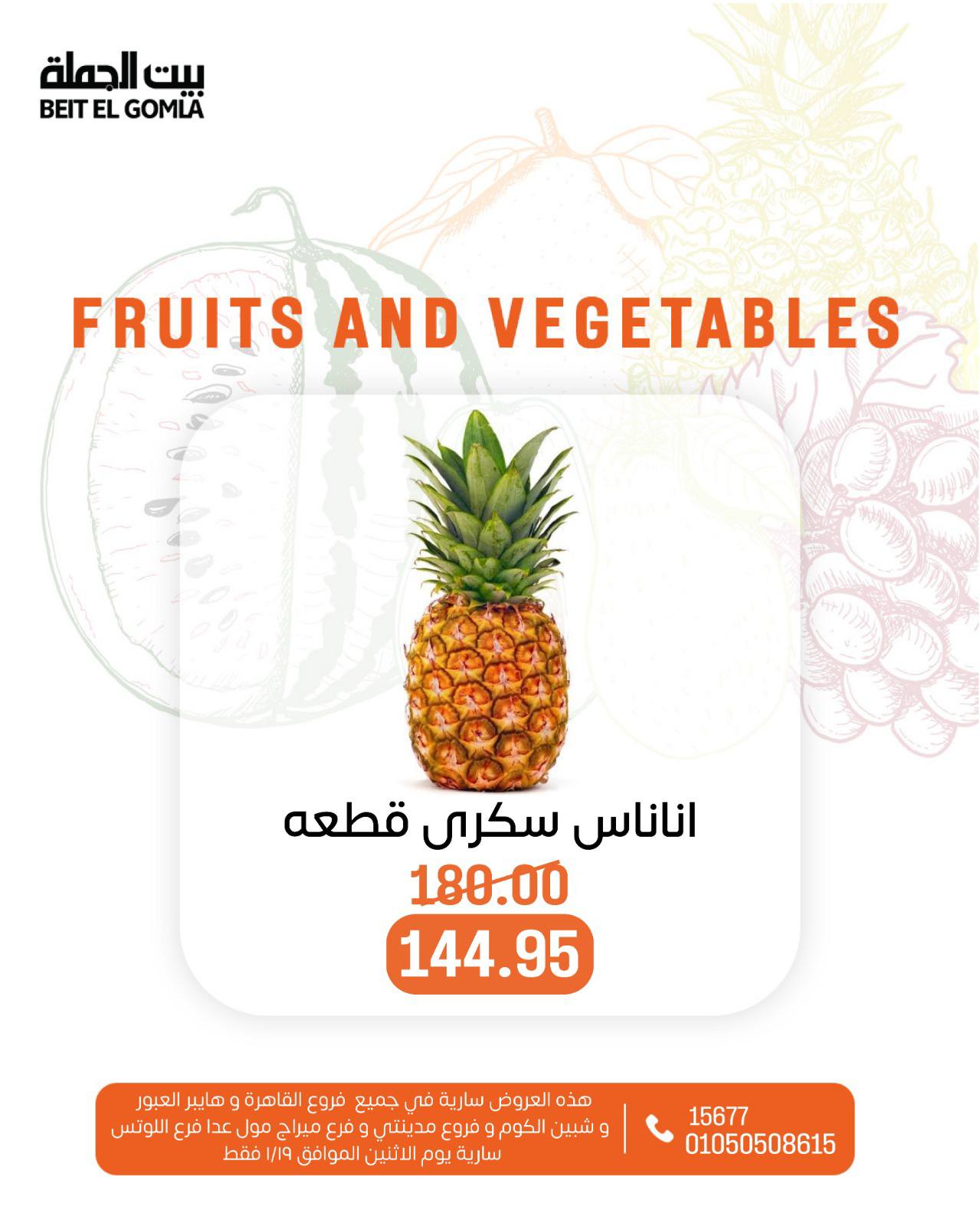 عروض بيت الجملة مصر الاثنين 19 يناير 2026 عروض الخضار والفاكهة
