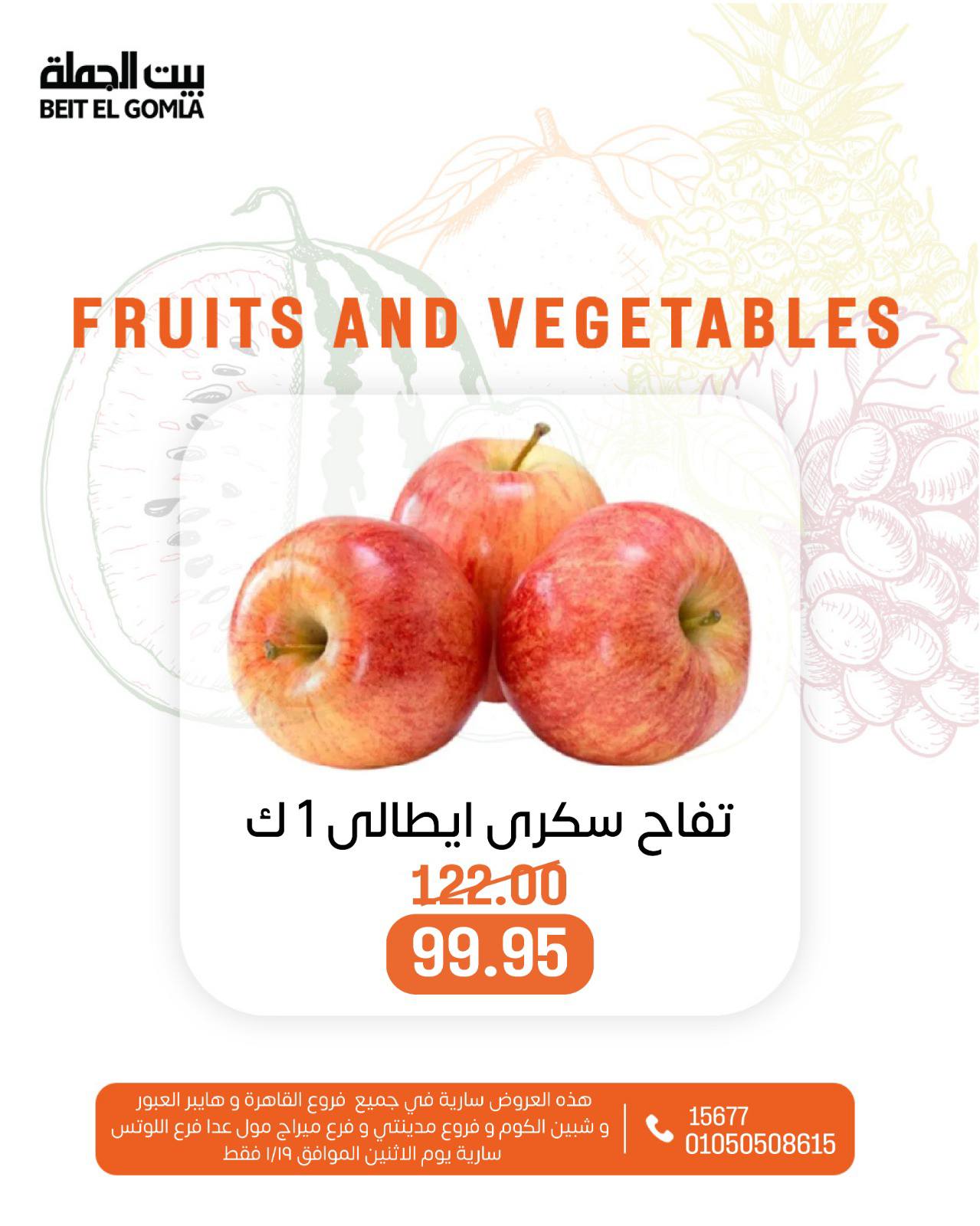 عروض بيت الجملة مصر الاثنين 19 يناير 2026 عروض الخضار والفاكهة