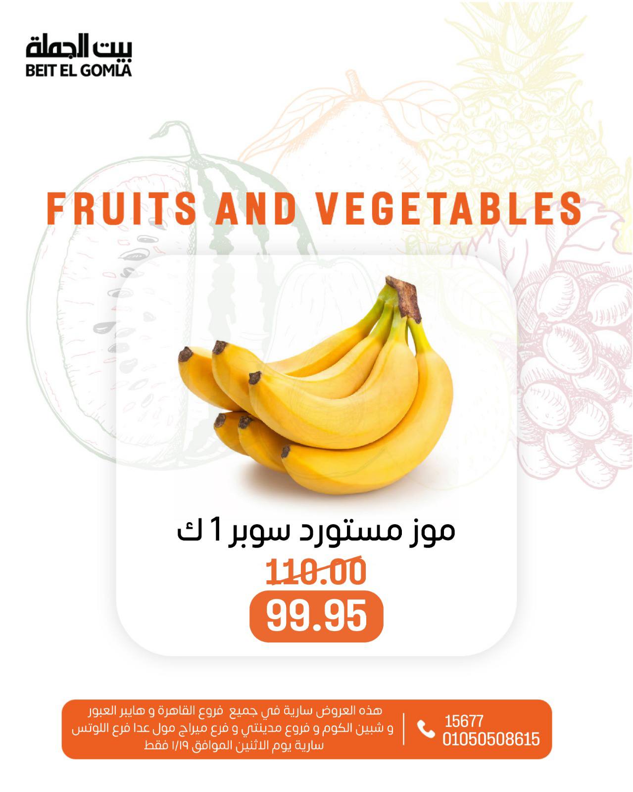 عروض بيت الجملة مصر الاثنين 19 يناير 2026 عروض الخضار والفاكهة