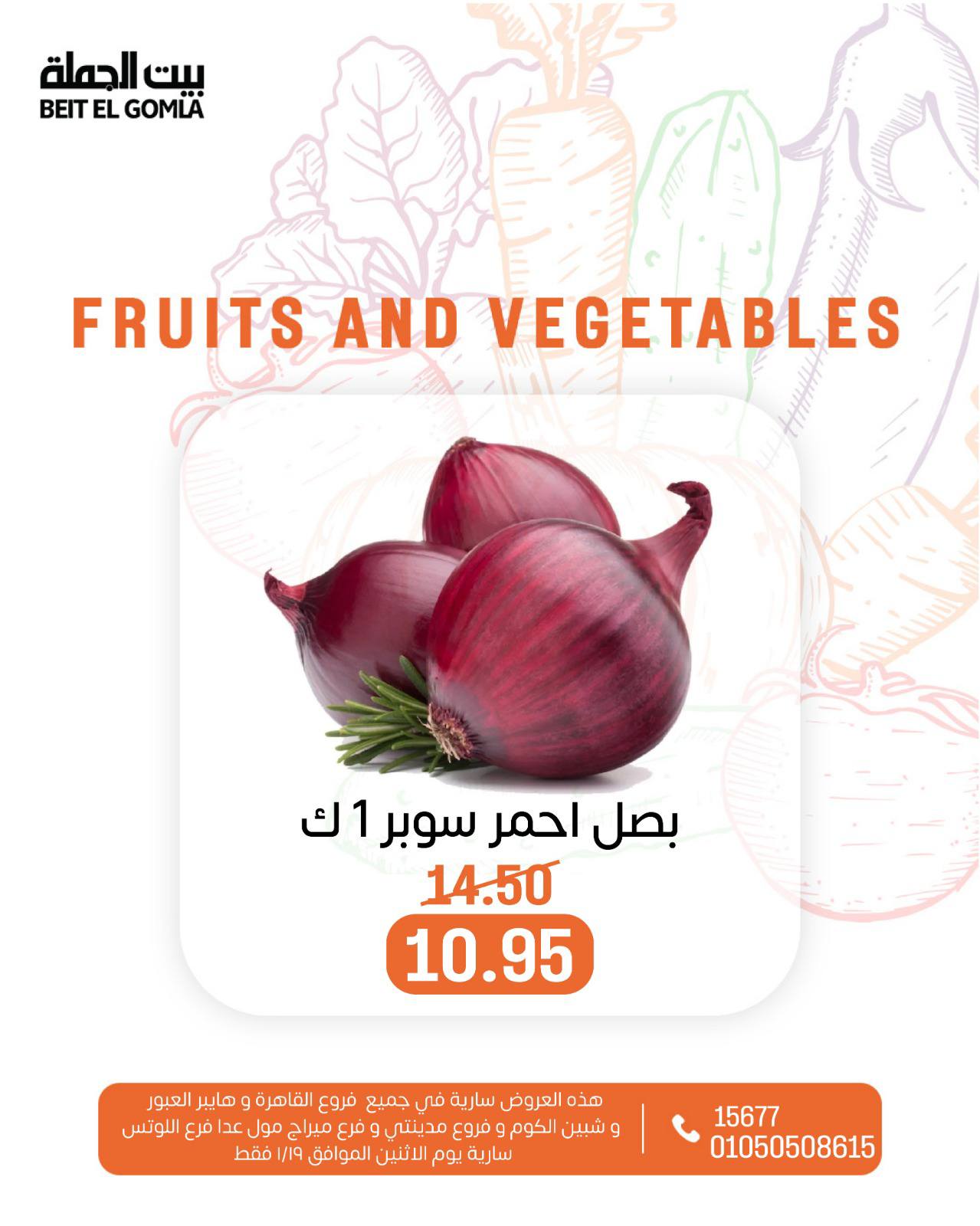 عروض بيت الجملة مصر الاثنين 19 يناير 2026 عروض الخضار والفاكهة
