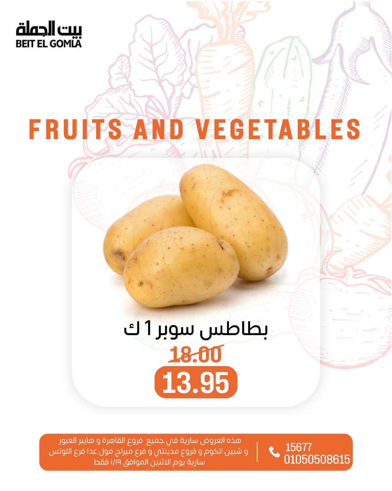 عروض بيت الجملة مصر الاثنين 19 يناير 2026 عروض الخضار والفاكهة