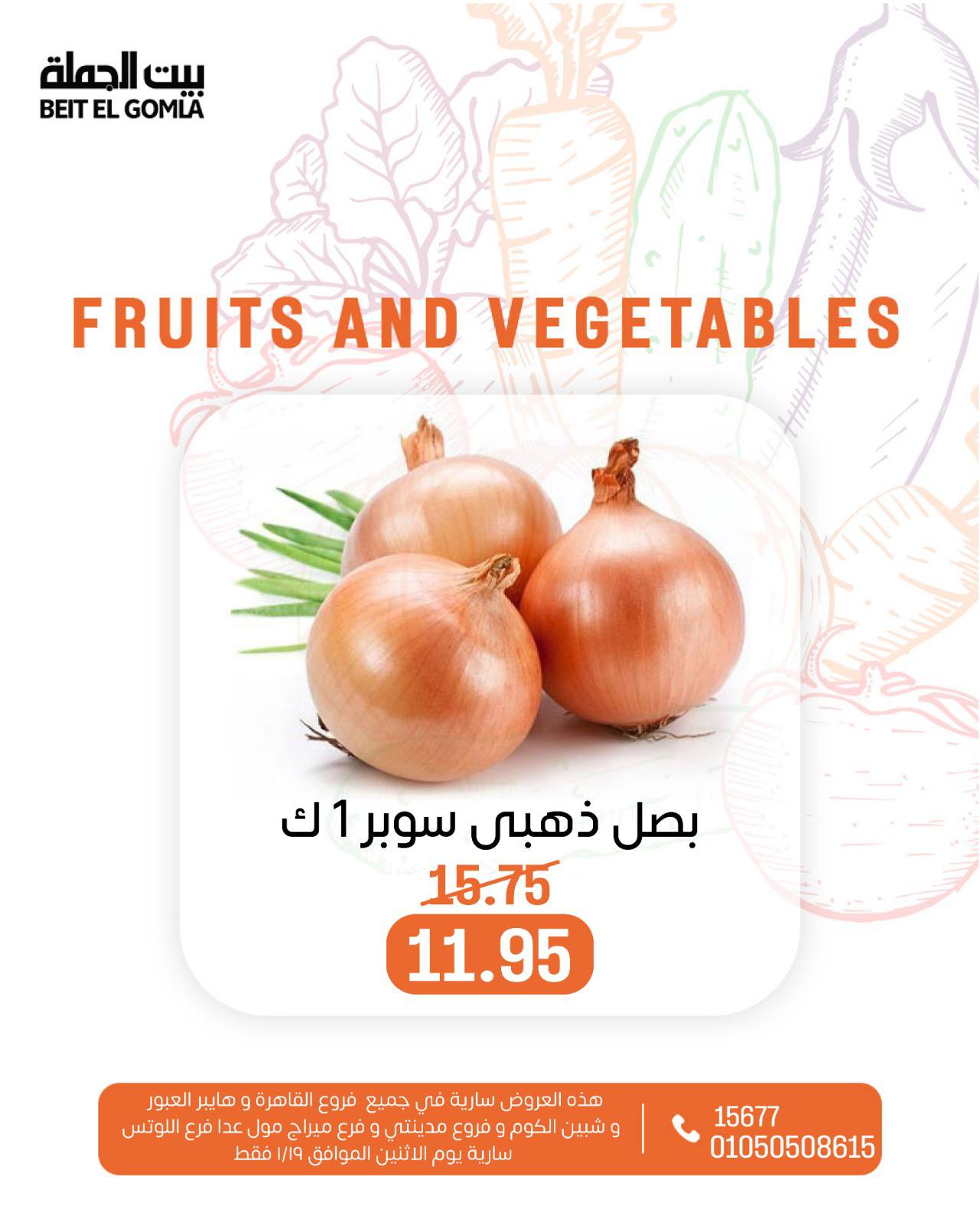 عروض بيت الجملة مصر الاثنين 19 يناير 2026 عروض الخضار والفاكهة