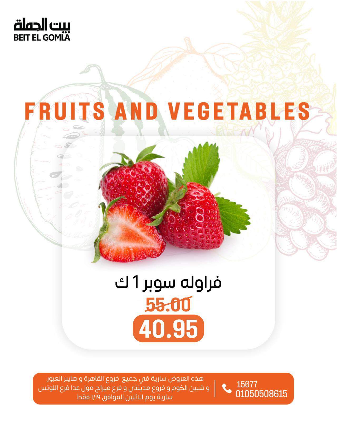 عروض بيت الجملة مصر الاثنين 19 يناير 2026 عروض الخضار والفاكهة