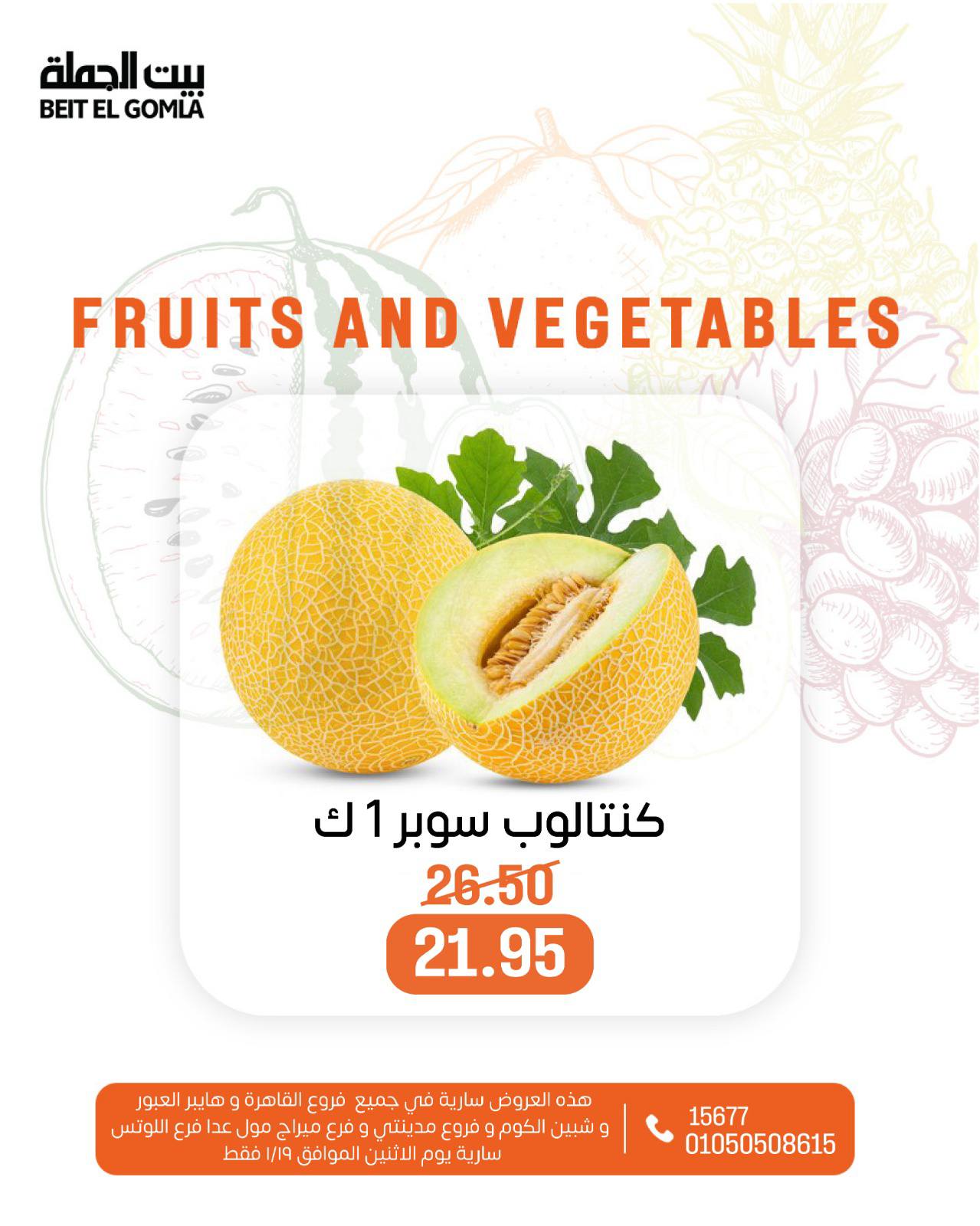عروض بيت الجملة مصر الاثنين 19 يناير 2026 عروض الخضار والفاكهة