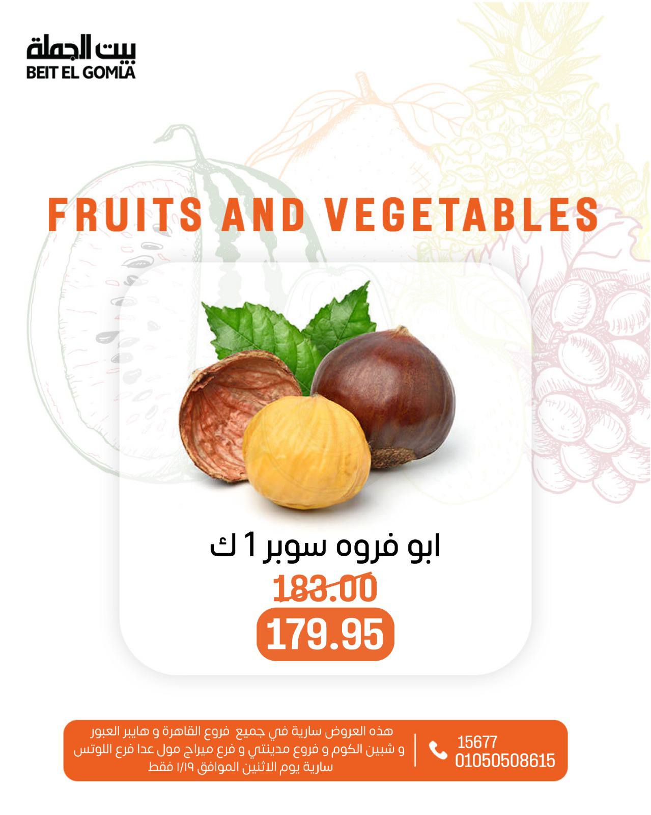 عروض بيت الجملة مصر الاثنين 19 يناير 2026 عروض الخضار والفاكهة
