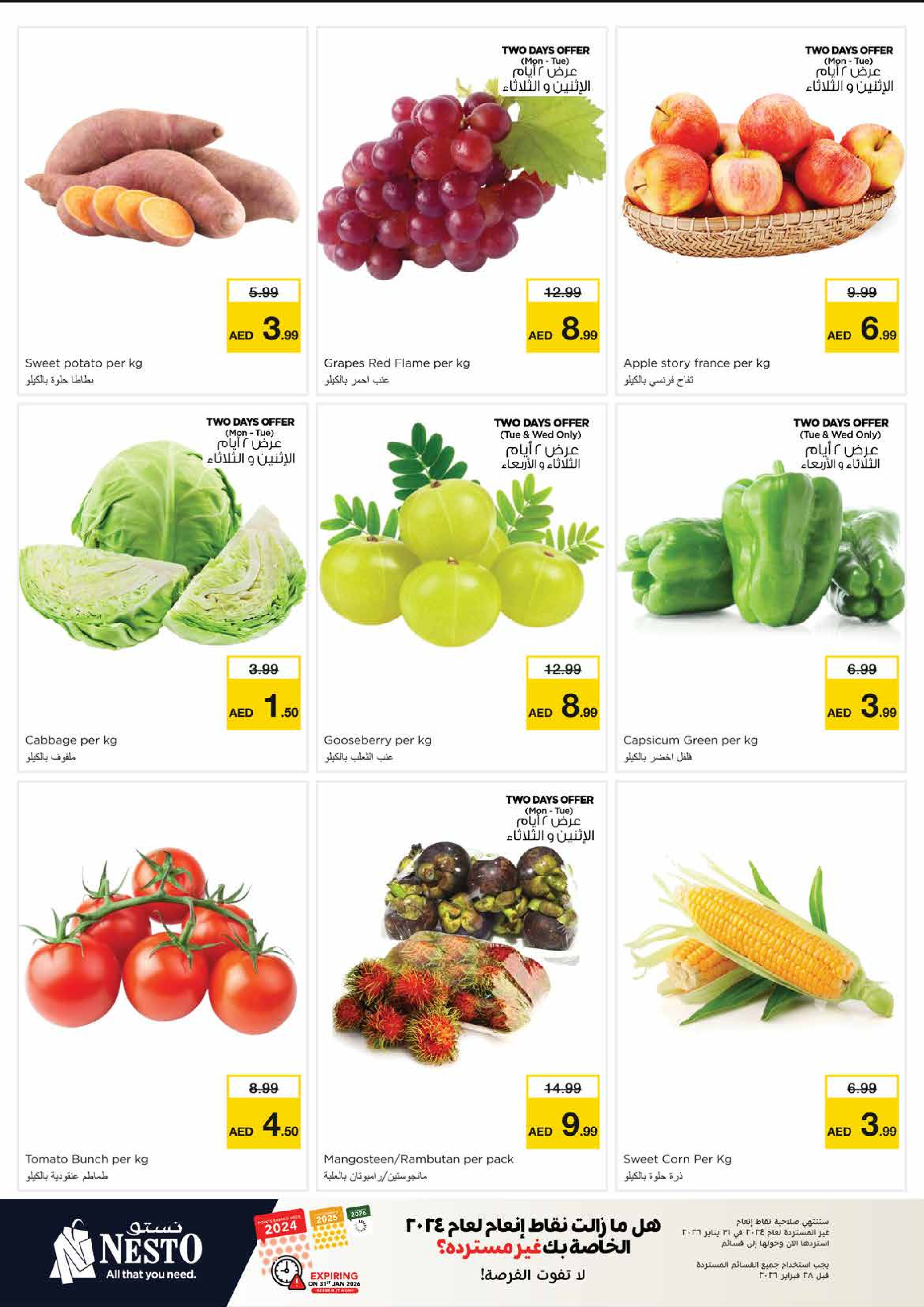 Offres Nesto  Sharjah  de 19 à 21 janvier CARNAVAL DE SHOPPING