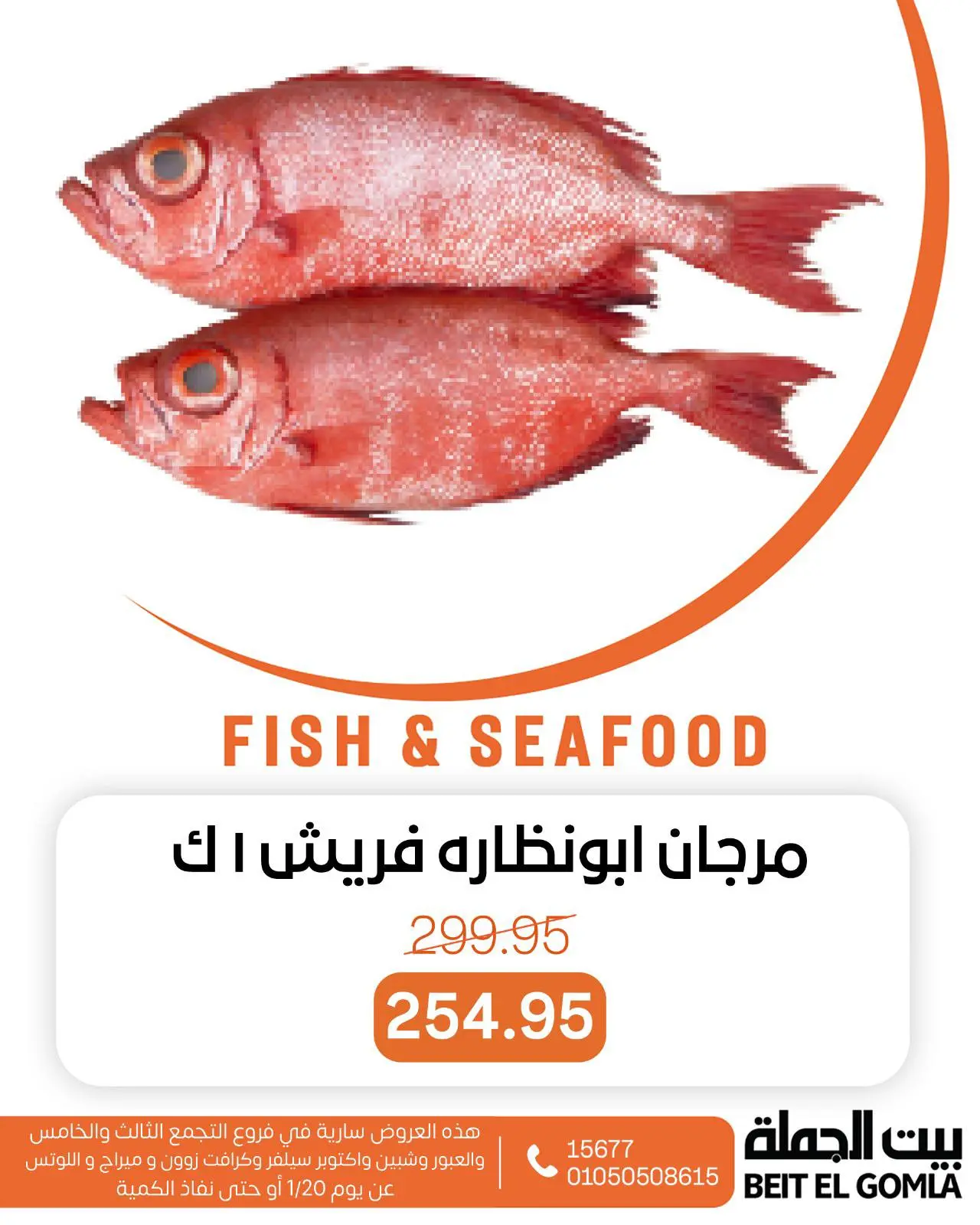 صفحة 3 ضمن عروض الأسماك في بيت الجملة مصر