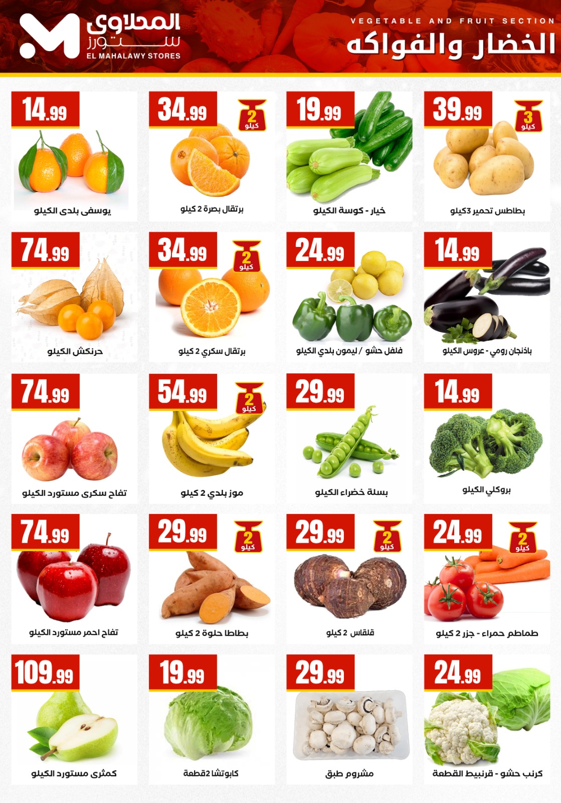 El Mahlawy Stores Egypt Offers from 22 to 28 January 2026 Offers from the "We Are All One" initiative