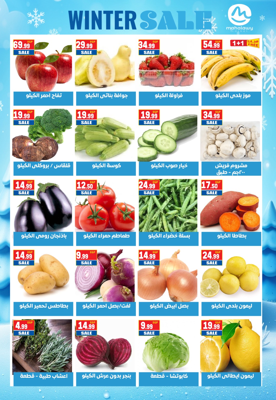 El mhallawy Sons Egypt Offers from 25 to 31 January 2026 Saving Deals