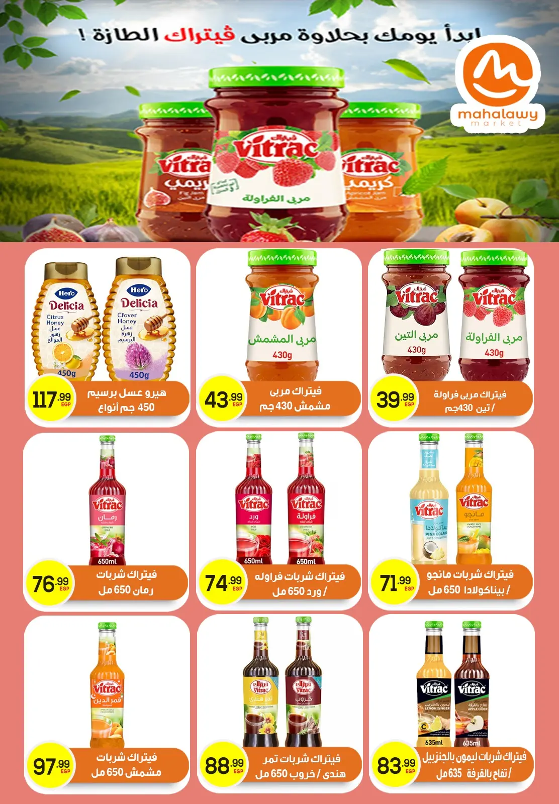 Page 40 dans Offres d'économie chez El mhallawy Sons Egypte