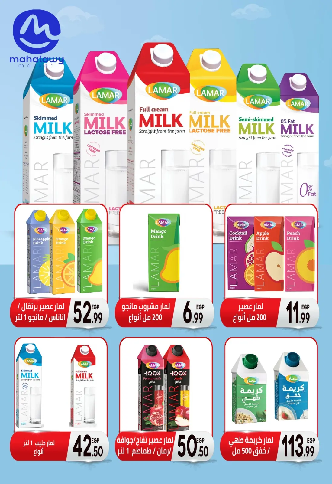 Page 36 dans Offres d'économie chez El mhallawy Sons Egypte