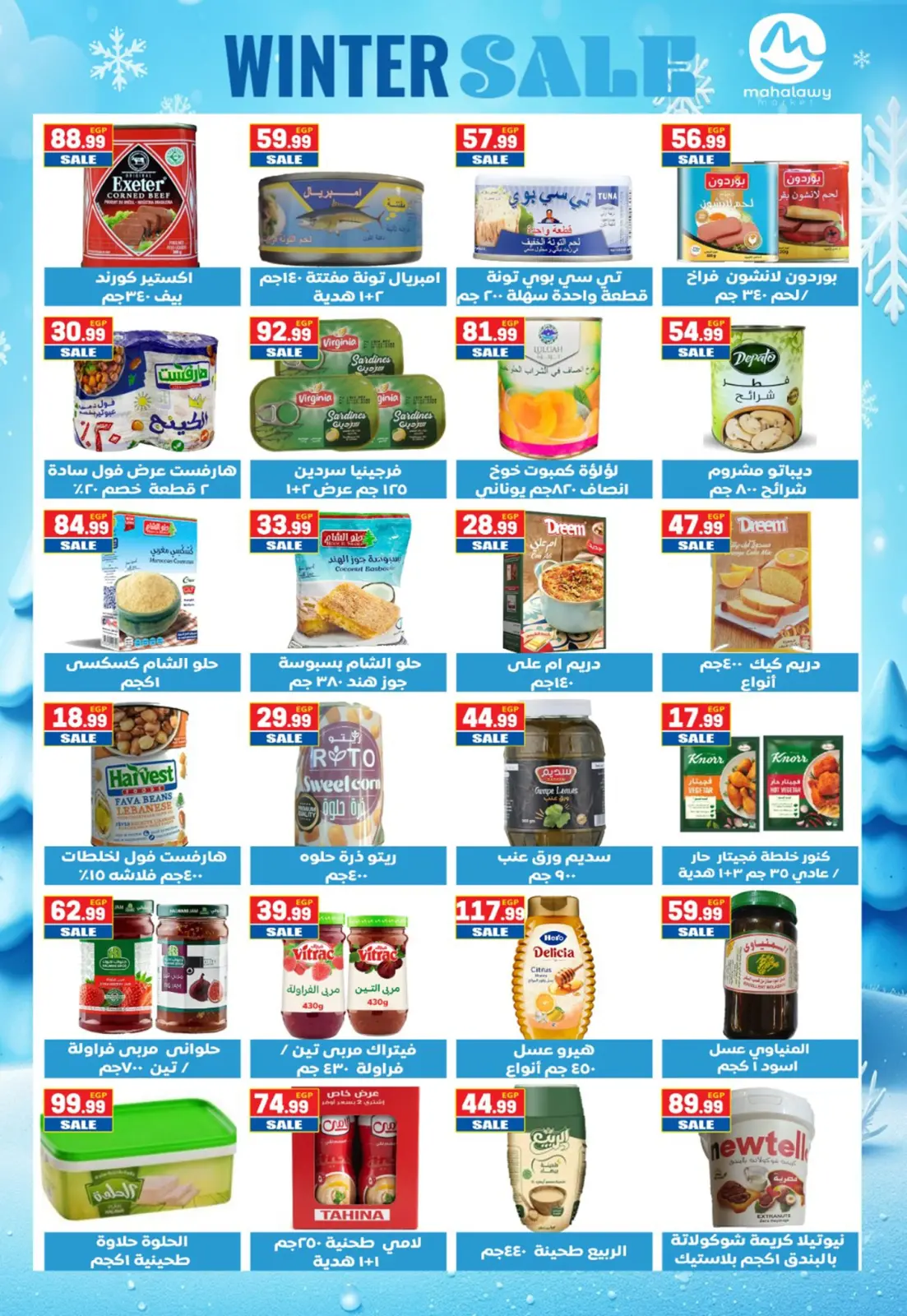 Page 18 dans Offres d'économie chez El mhallawy Sons Egypte