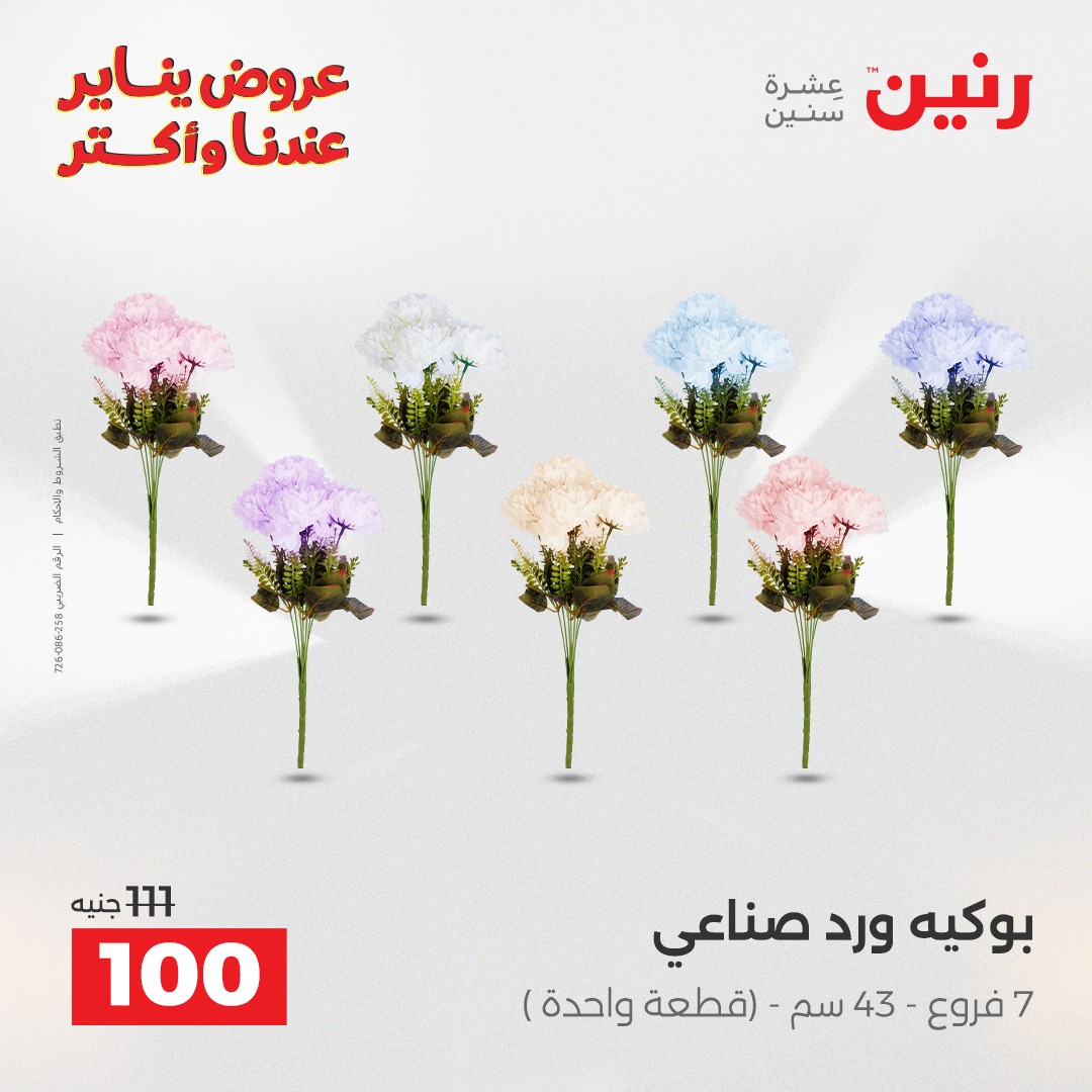 عروض رنين مصر من 25 حتى 26 يناير 2026 عروض قطع الديكور