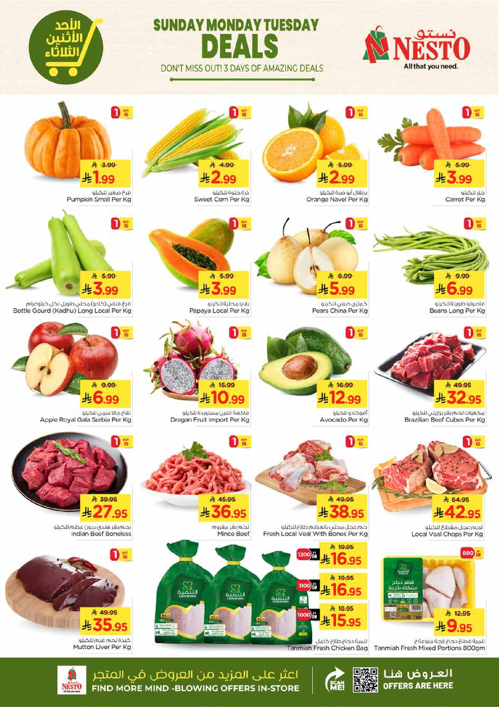 عروض نستو  الخبر الجبيل الضباب و الدمام  من 25 حتى 27 يناير 2026 صفقات مذهلة