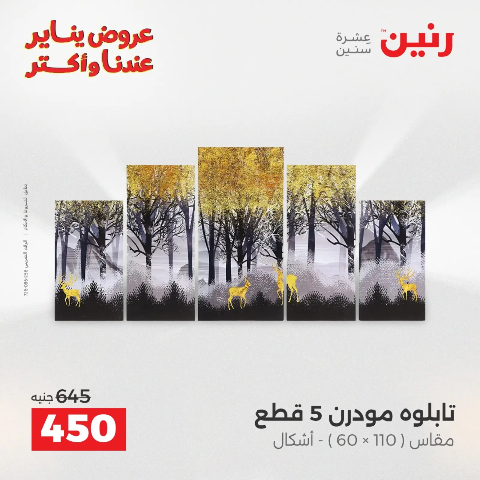 صفحة 2 ضمن عروض قطع الديكور في رنين مصر