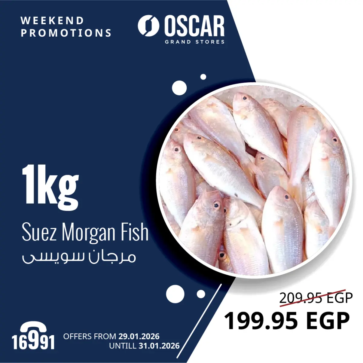 عروض أوسكار جراند ستورز مصر من 29 حتى 31 يناير 2026 عروض الويك إند - صفحة 4