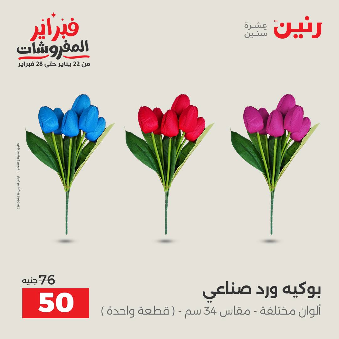 عروض رنين مصر من 1 حتى 2 فبراير 2026 عروض قطع الديكور