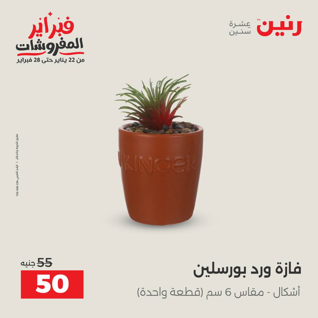 عروض رنين مصر من 1 حتى 2 فبراير 2026 عروض قطع الديكور