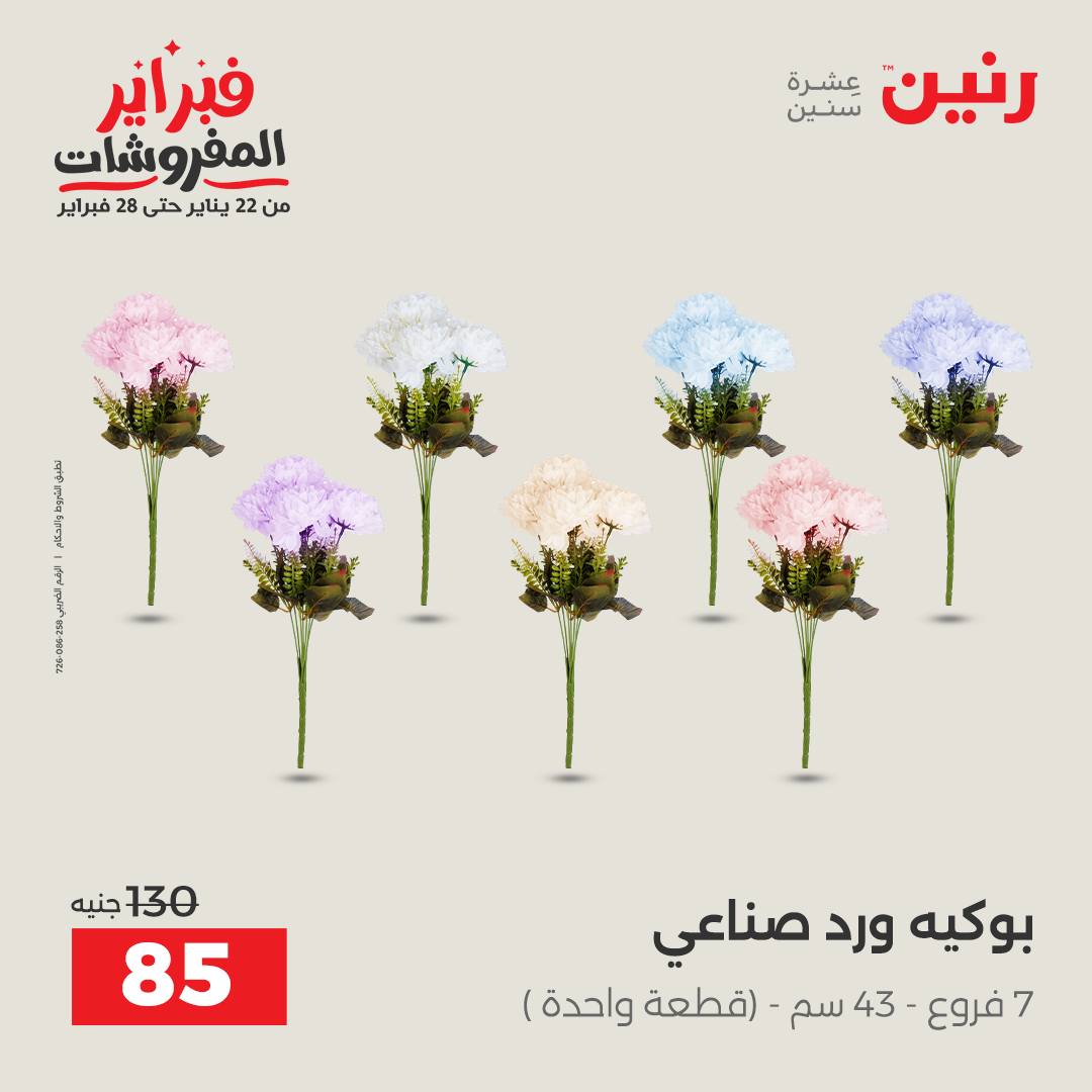 عروض رنين مصر من 1 حتى 2 فبراير 2026 عروض قطع الديكور
