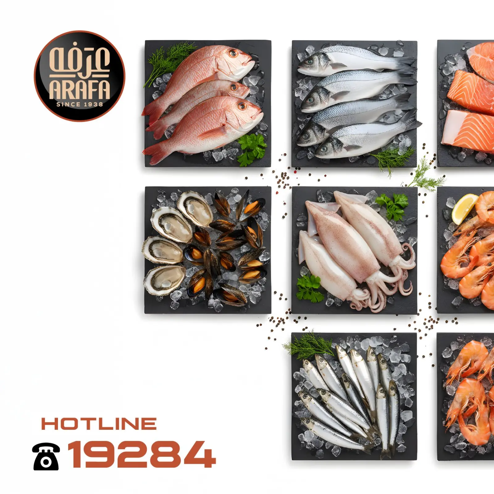 Page 2 dans Offres de poisson chez Marché d'Arafa Egypte