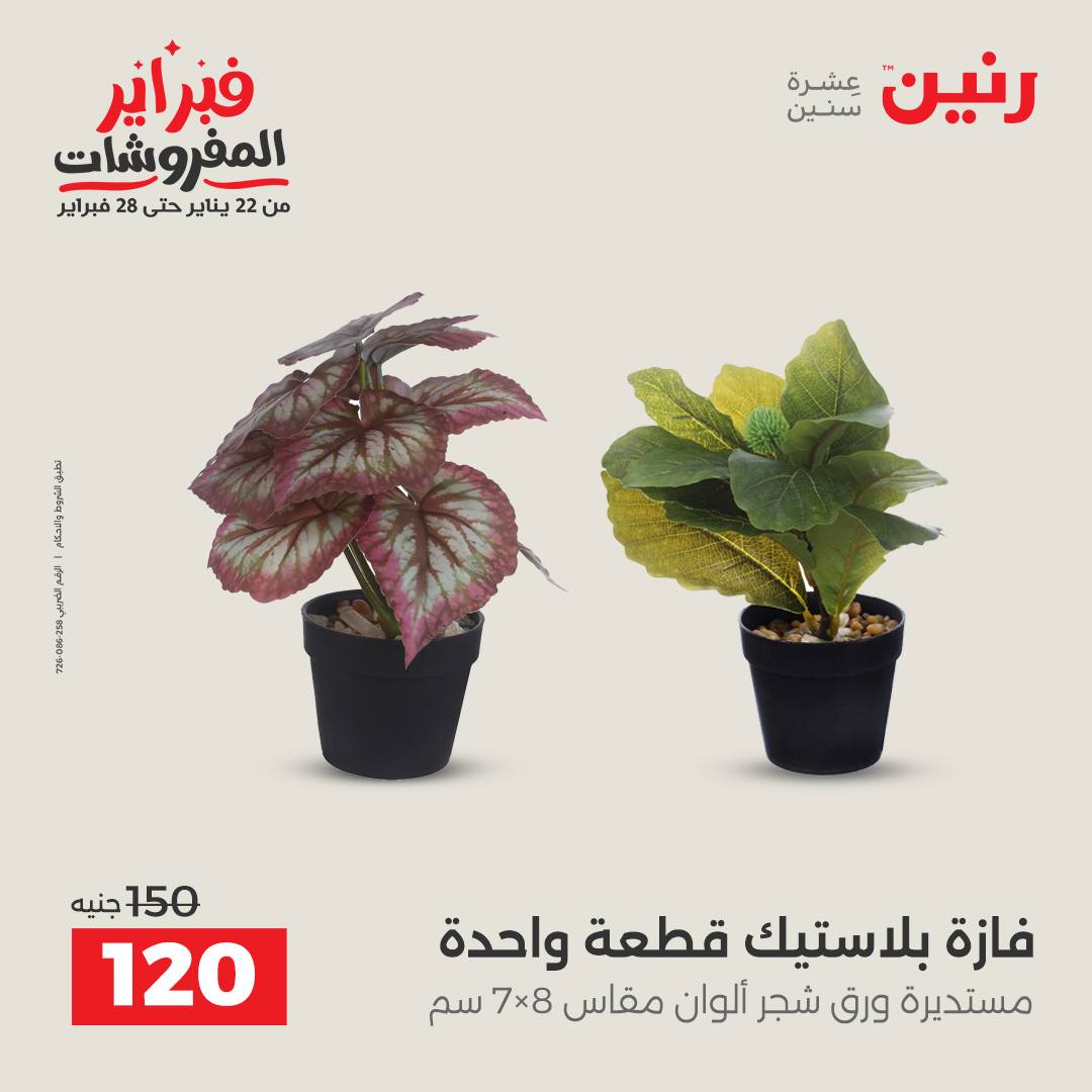 عروض رنين مصر من 5 حتى 7 فبراير 2026 عروض قطع الديكور