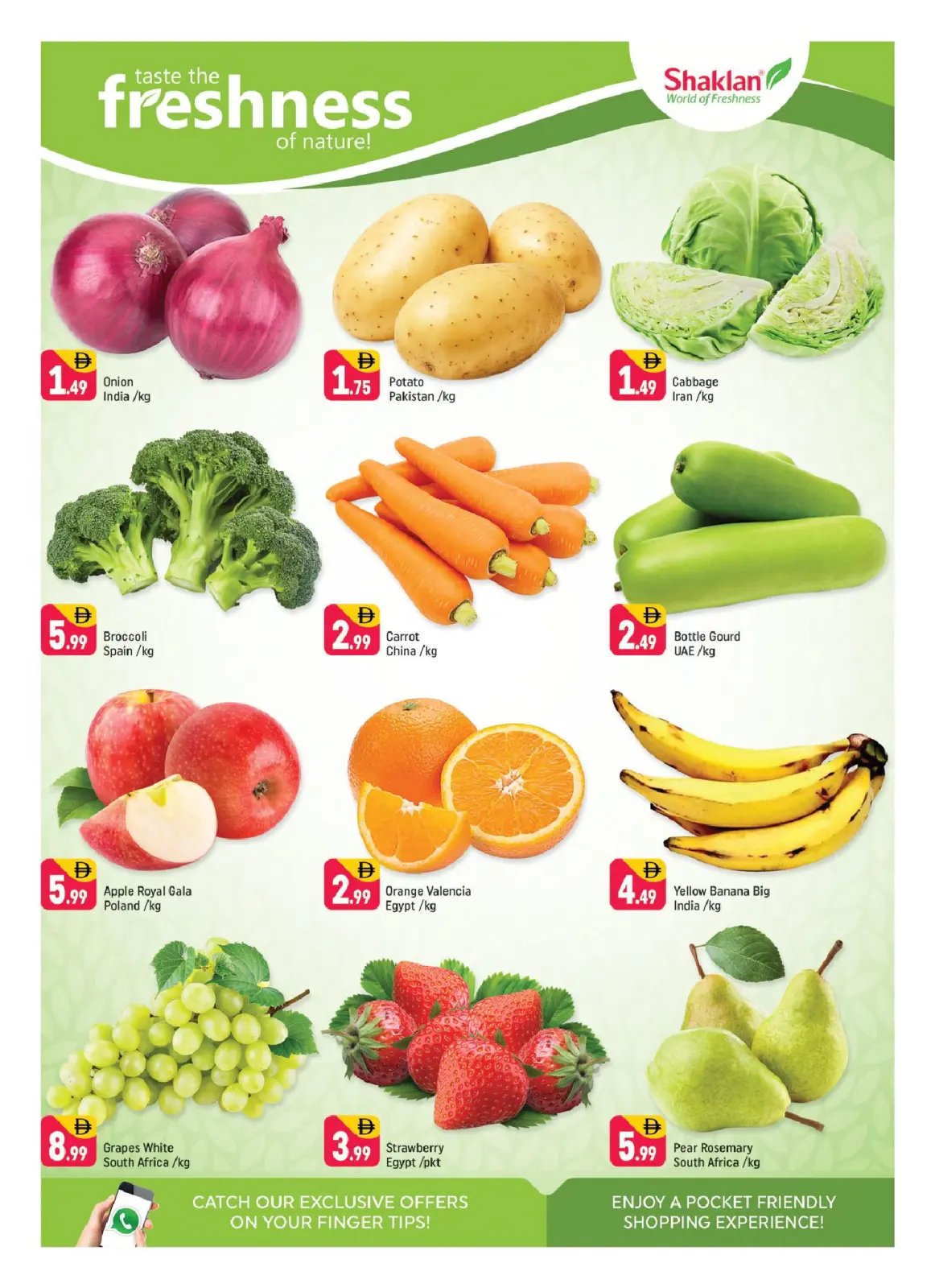 صفحة 2 ضمن عروض منزل الأحلام في شكلان الإمارات