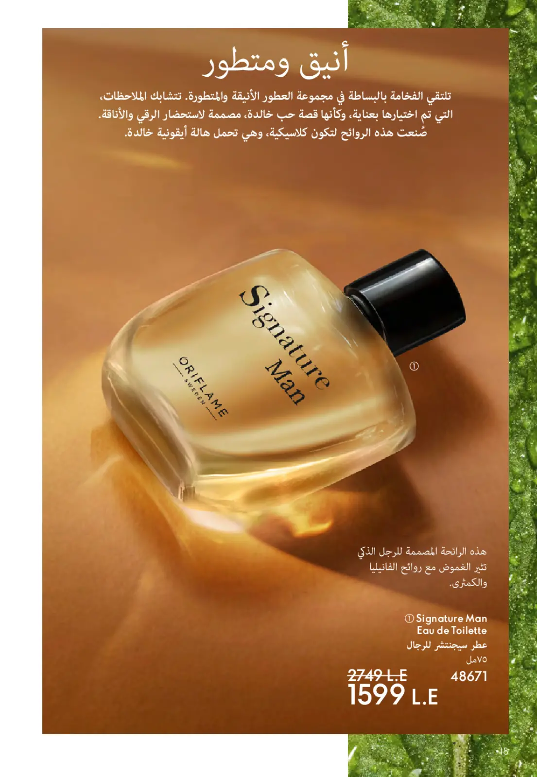 عروض اوريفليم مصر من 1 حتى 28 فبراير 2026 عروض شهر فبراير - صفحة 19