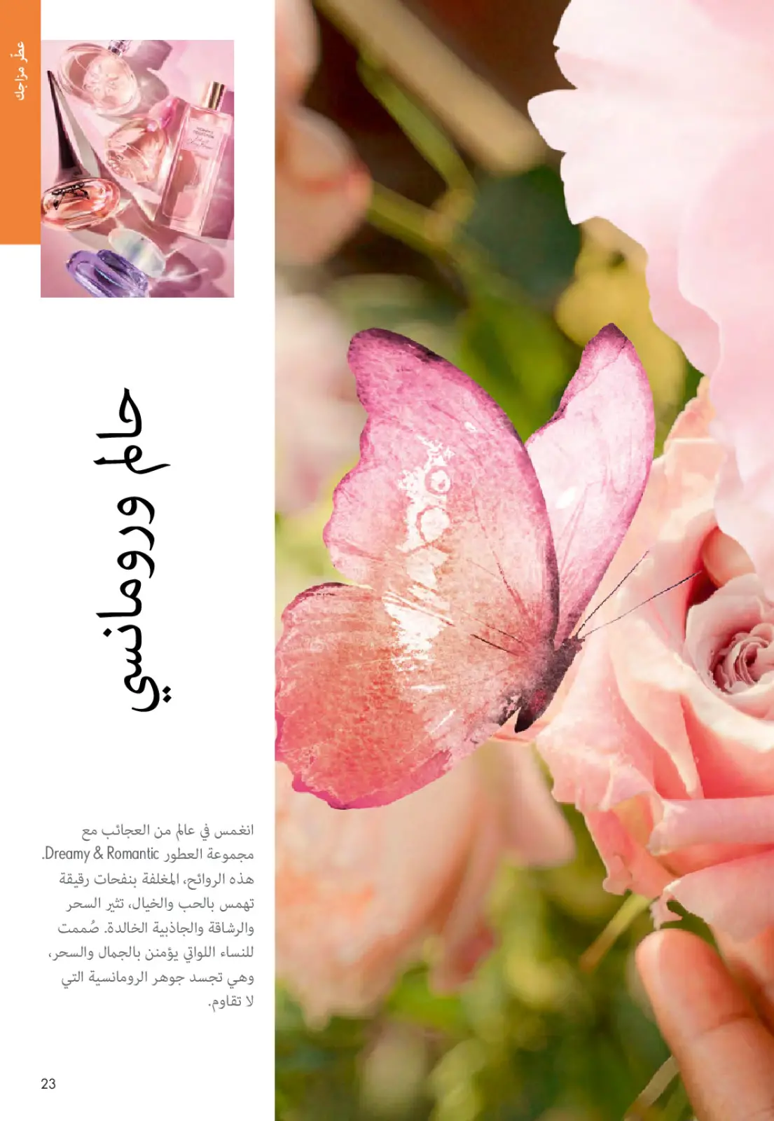 عروض اوريفليم مصر من 1 حتى 28 فبراير 2026 عروض شهر فبراير - صفحة 22