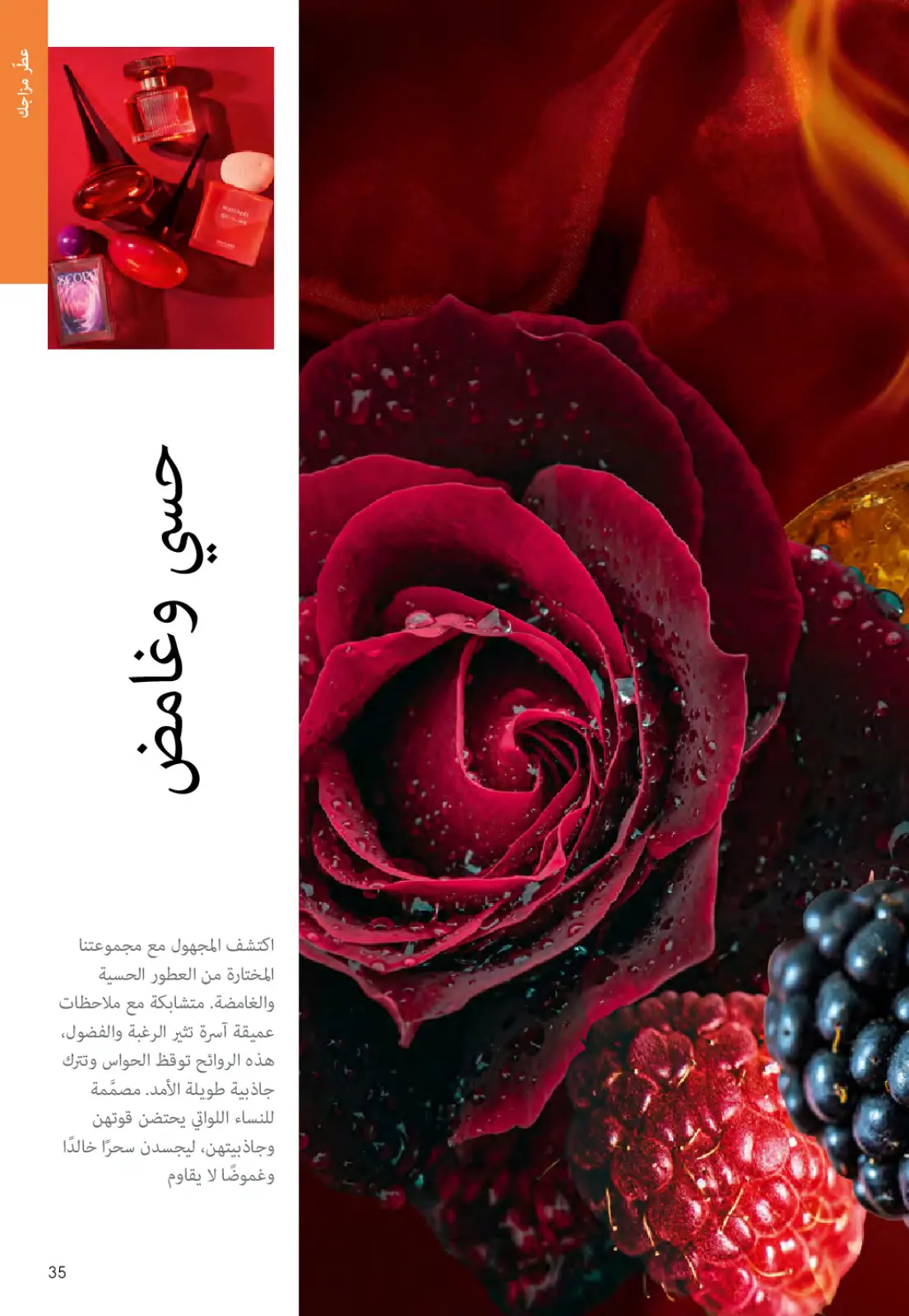 عروض اوريفليم مصر من 1 حتى 28 فبراير 2026 عروض شهر فبراير - صفحة 34