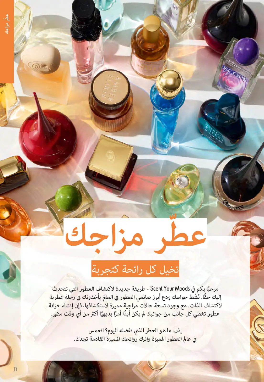 عروض اوريفليم مصر من 1 حتى 28 فبراير 2026 عروض شهر فبراير - صفحة 10