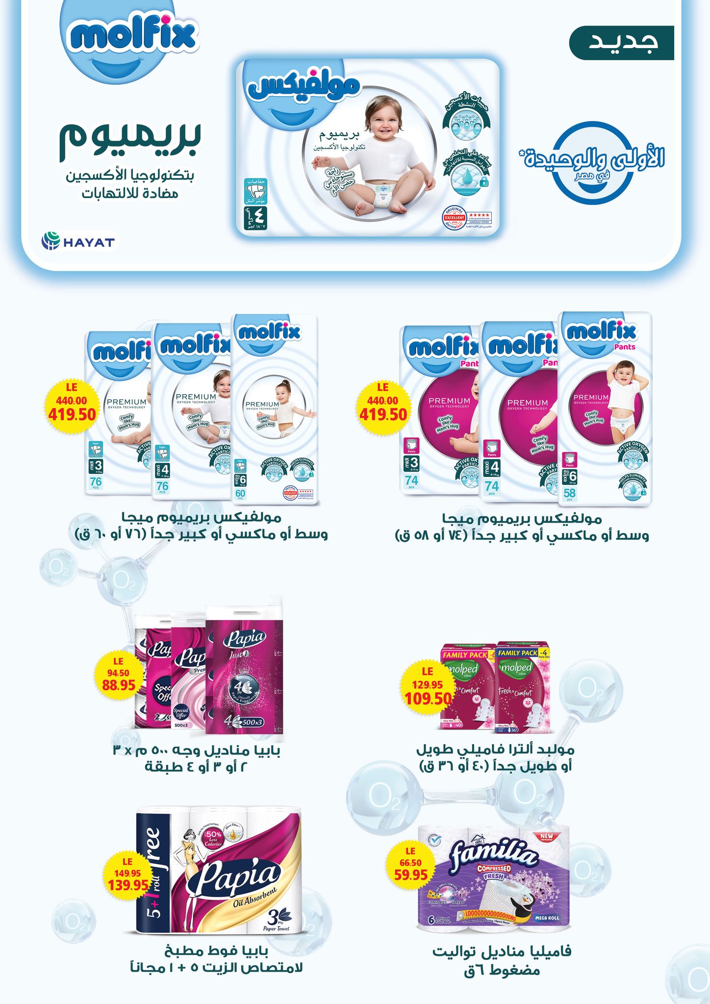 Geant supermarket Egypt Offers from 13 to 26 February 2026 Ramadan Kareem Offers - Geant - Egypt - 13 February 2026 – 26 February 2026 - Page 17