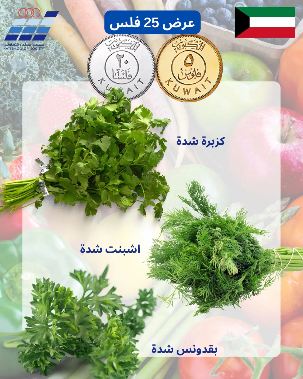 صفحة 10 ضمن عروض الخضار والفواكه في جمعية حطين التعاونية الكويت