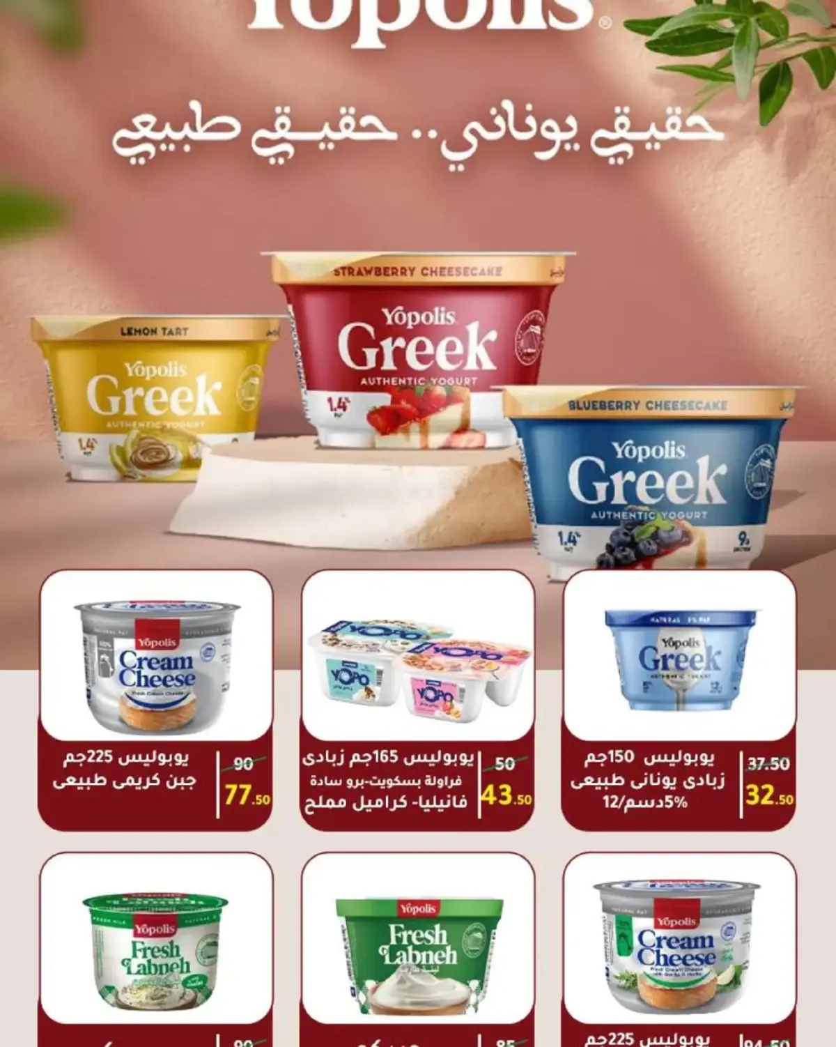 عروض وكالة المنصورة مصر من 16 فبراير حتى 10 مارس 2026 عروض رمضان - صفحة 49