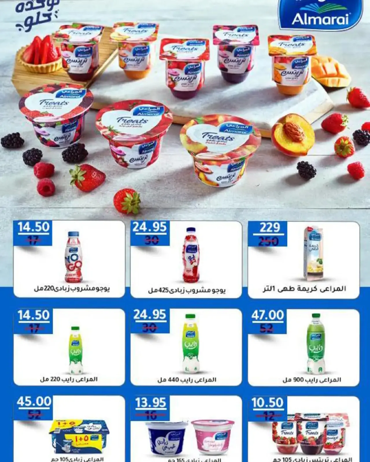 صفحة 53 ضمن عروض رمضان في وكالة المنصورة مصر